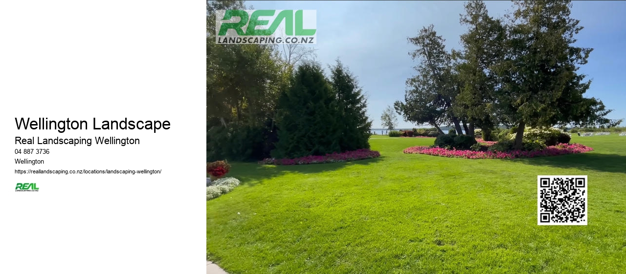 Cheap Artificial Grass NZ