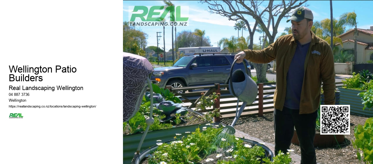 Hydroseeding Services Wellington